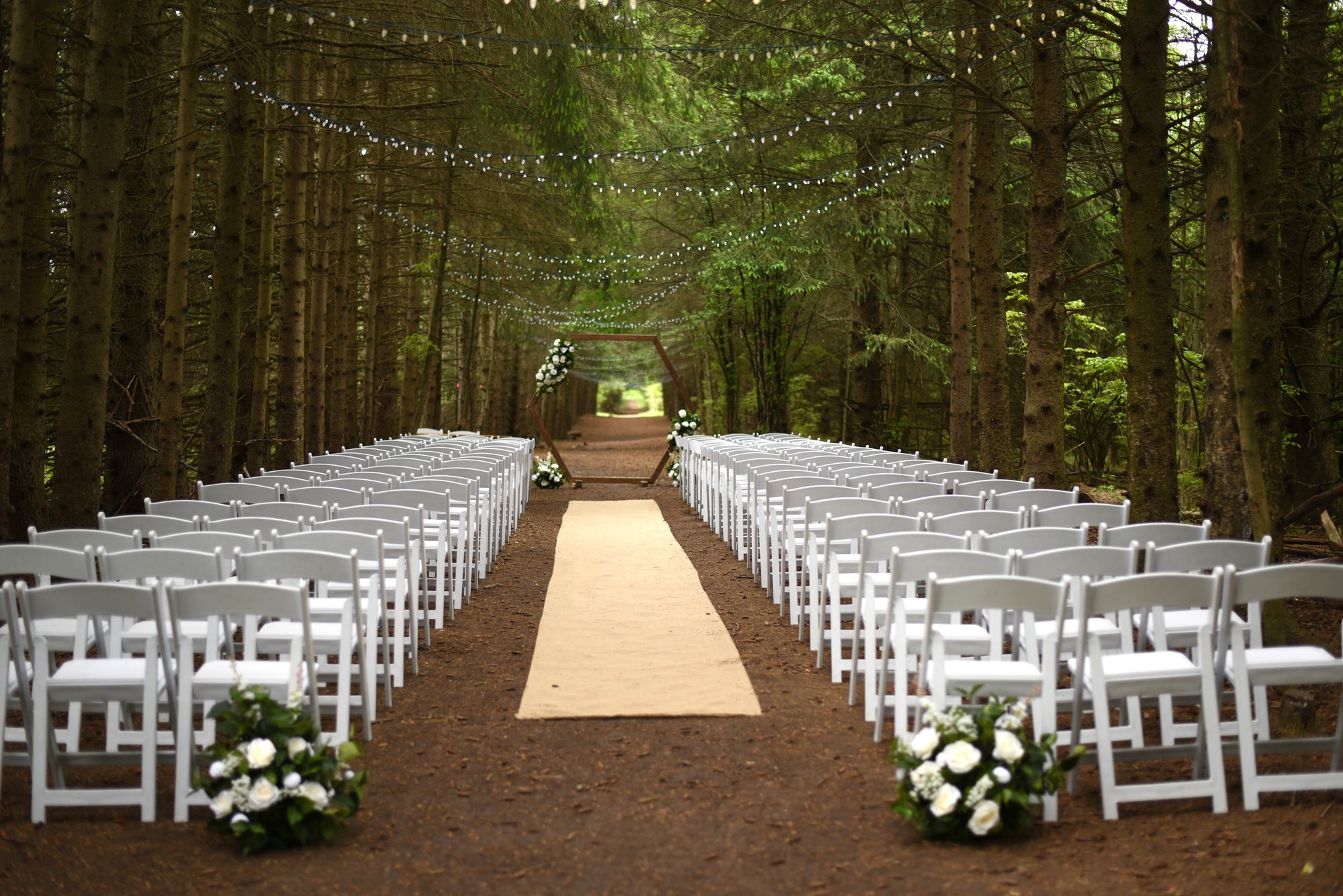 Wooden Hexagon Arch (7') (Flowers Not Included)